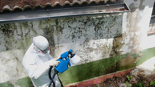 Top rated local Attic Mold Remediation specialists in Upperco, MD